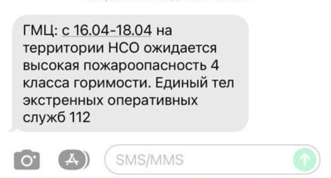 Фото Жители Новосибирска получили смс-сообщения от МЧС из-за высокой пожарной опасности 2